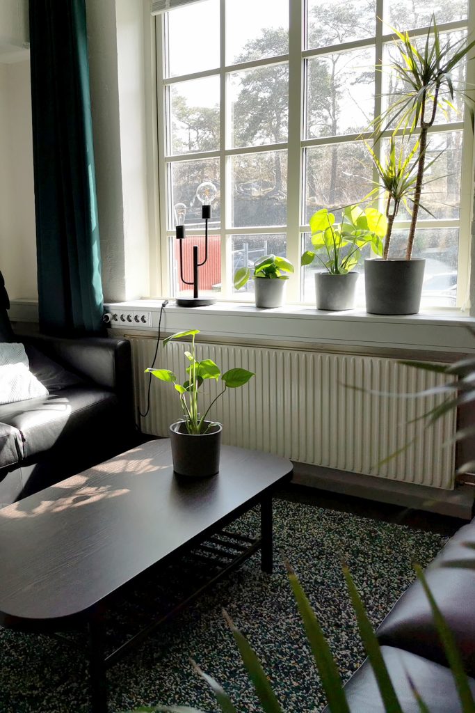 Hemtrevlig inrett mötesrum på Nohabgatan 12B. Ett träbord med en kruka på den. Vid sidan ett stort fönster som låter solen belysa rummet med tre krukor med växter och en liten lampa.