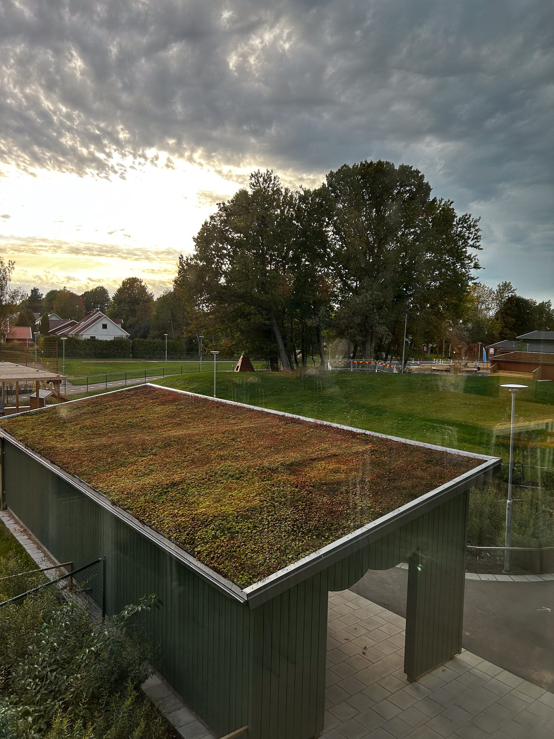 Överblick över skolgården från andra våningen. Sedumtak och grönområden.